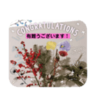冬の花LINEスタンプ、yamami（個別スタンプ：8）