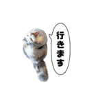 いいちこスタンプ 2（個別スタンプ：3）