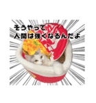 いいちこスタンプ 2（個別スタンプ：5）