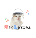 いいちこスタンプ 2（個別スタンプ：9）