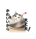 いいちこスタンプ 2（個別スタンプ：12）