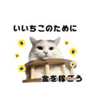 いいちこスタンプ 2（個別スタンプ：13）