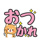 見やすい♪でか文字返信 #柴犬クッキー5（個別スタンプ：1）