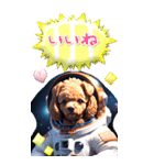 【BIG】宇宙犬♡トイプードル 毎日使える（個別スタンプ：9）