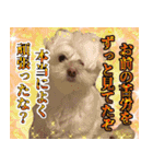 100キロの自己愛3（個別スタンプ：13）