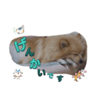 はるくんもうすぐ2才。僕の気持ち？（個別スタンプ：8）