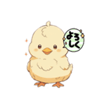 毎日ひよこさん（個別スタンプ：3）