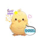 毎日ひよこさん（個別スタンプ：12）