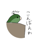 サザナミインコのもちころくん（個別スタンプ：8）