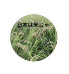 マルチに使える日常会話（個別スタンプ：2）