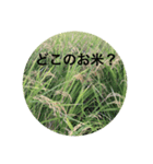 マルチに使える日常会話（個別スタンプ：4）