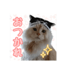 らんまるとだいふく（個別スタンプ：3）
