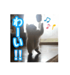 らんまるとだいふく（個別スタンプ：7）