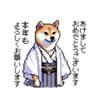 ドット絵 柴犬 新年あけおめ【再販】（個別スタンプ：1）