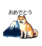 ドット絵 柴犬 新年あけおめ【再販】（個別スタンプ：5）