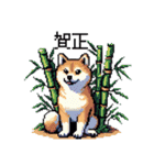 ドット絵 柴犬 新年あけおめ【再販】（個別スタンプ：8）