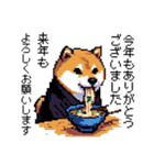 ドット絵 柴犬 新年あけおめ【再販】（個別スタンプ：10）