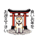 ドット絵 柴犬 新年あけおめ【再販】（個別スタンプ：14）