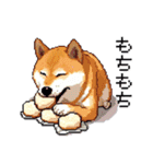 ドット絵 柴犬 新年あけおめ【再販】（個別スタンプ：18）