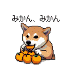 ドット絵 柴犬 新年あけおめ【再販】（個別スタンプ：22）