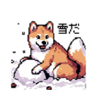 ドット絵 柴犬 新年あけおめ【再販】（個別スタンプ：36）