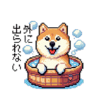 ドット絵 柴犬 新年あけおめ【再販】（個別スタンプ：37）