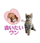 お酒とネコ好きな日常会話21 ワン太郎ver（個別スタンプ：27）