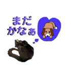 お酒とネコ好きな日常会話21 ワン太郎ver（個別スタンプ：28）