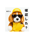 ビーグルの現場仕事⭐グラサン犬（個別スタンプ：27）