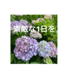 紫陽花とご挨拶（個別スタンプ：7）