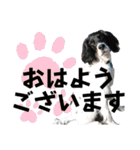 楽しい仲間スタンプの巻1（個別スタンプ：3）