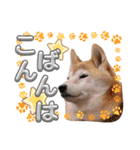 楽しい仲間スタンプの巻1（個別スタンプ：5）
