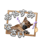 楽しい仲間スタンプの巻1（個別スタンプ：7）
