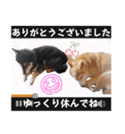 楽しい仲間スタンプの巻1（個別スタンプ：13）