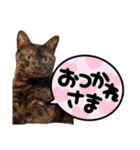 楽しい仲間スタンプの巻1（個別スタンプ：14）