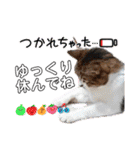 楽しい仲間スタンプの巻1（個別スタンプ：15）