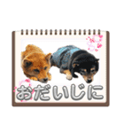 楽しい仲間スタンプの巻1（個別スタンプ：16）