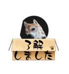 楽しい仲間スタンプの巻1（個別スタンプ：22）