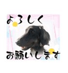 楽しい仲間スタンプの巻1（個別スタンプ：26）
