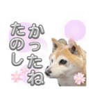 楽しい仲間スタンプの巻1（個別スタンプ：27）