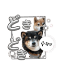 楽しい仲間スタンプの巻1（個別スタンプ：30）