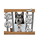 楽しい仲間スタンプの巻1（個別スタンプ：31）