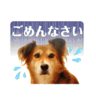 楽しい仲間スタンプの巻1（個別スタンプ：32）