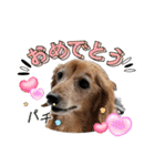 楽しい仲間スタンプの巻1（個別スタンプ：37）