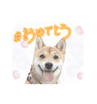 楽しい仲間スタンプの巻1（個別スタンプ：38）