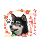 楽しい仲間スタンプの巻1（個別スタンプ：40）