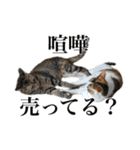 オリゴとホームズの日常スタンプ（個別スタンプ：36）