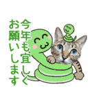 冬の日常や年末年始も大活躍の猫すたんぷ（個別スタンプ：4）