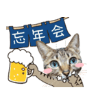 冬の日常や年末年始も大活躍の猫すたんぷ（個別スタンプ：13）