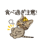 冬の日常や年末年始も大活躍の猫すたんぷ（個別スタンプ：16）